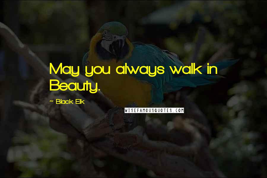 Black Elk Quotes: May you always walk in Beauty.