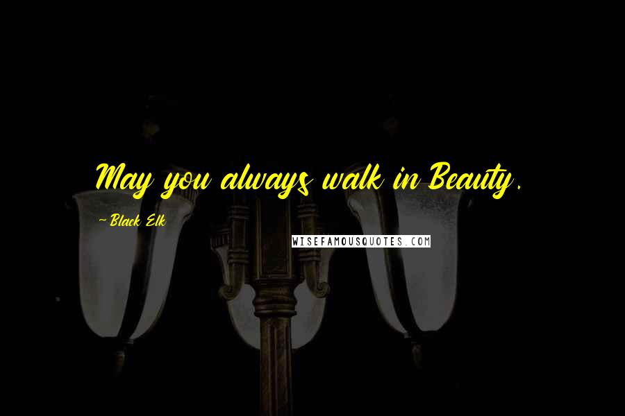 Black Elk Quotes: May you always walk in Beauty.