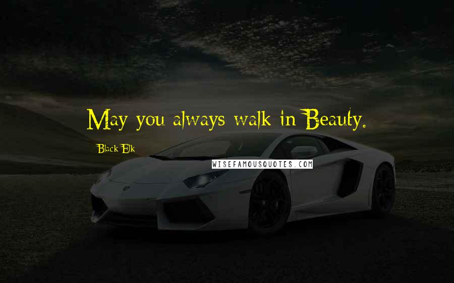 Black Elk Quotes: May you always walk in Beauty.