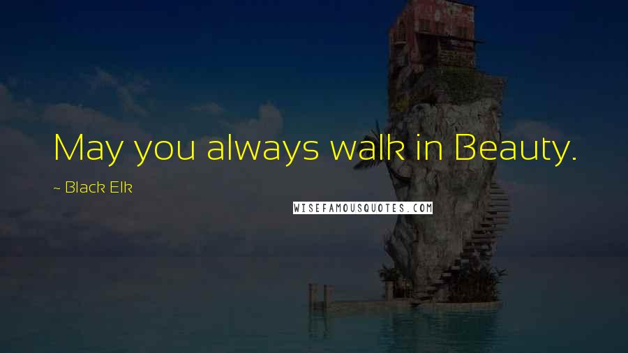 Black Elk Quotes: May you always walk in Beauty.