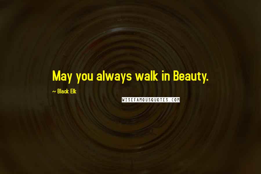 Black Elk Quotes: May you always walk in Beauty.