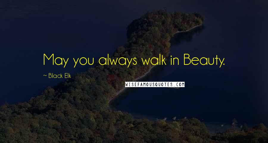 Black Elk Quotes: May you always walk in Beauty.