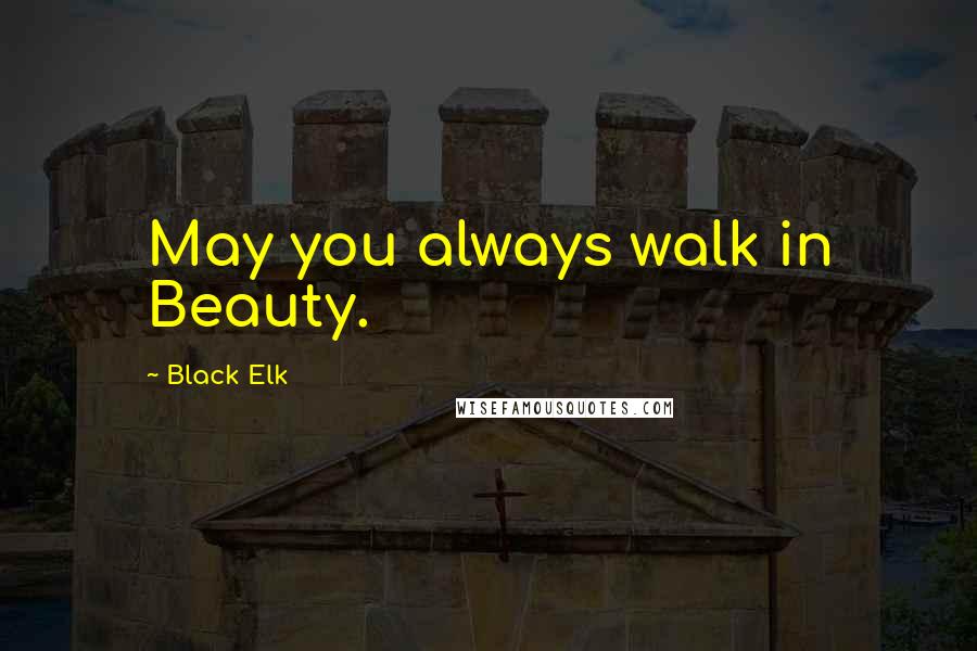 Black Elk Quotes: May you always walk in Beauty.