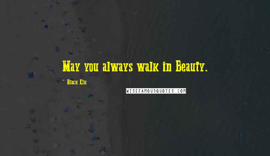 Black Elk Quotes: May you always walk in Beauty.