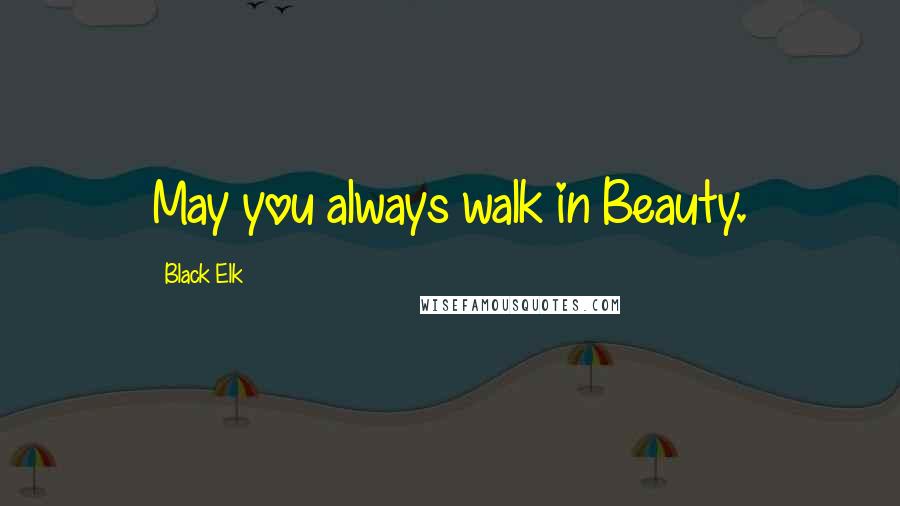 Black Elk Quotes: May you always walk in Beauty.