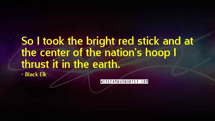 Black Elk Quotes: So I took the bright red stick and at the center of the nation's hoop I thrust it in the earth.