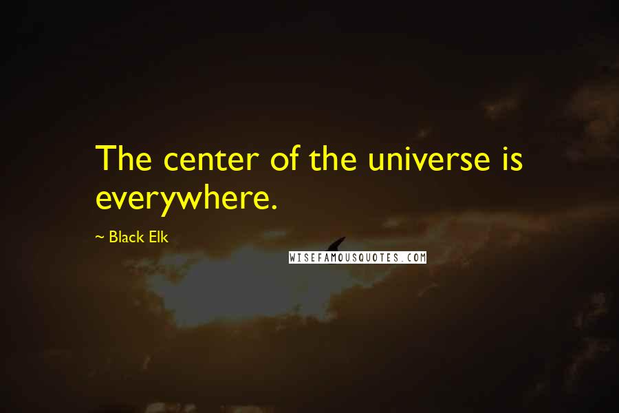 Black Elk Quotes: The center of the universe is everywhere.