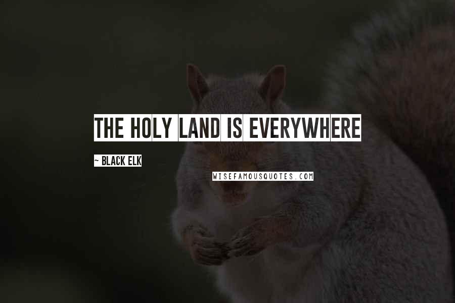 Black Elk Quotes: The Holy Land is everywhere