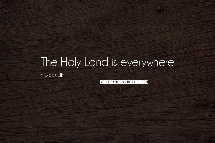 Black Elk Quotes: The Holy Land is everywhere