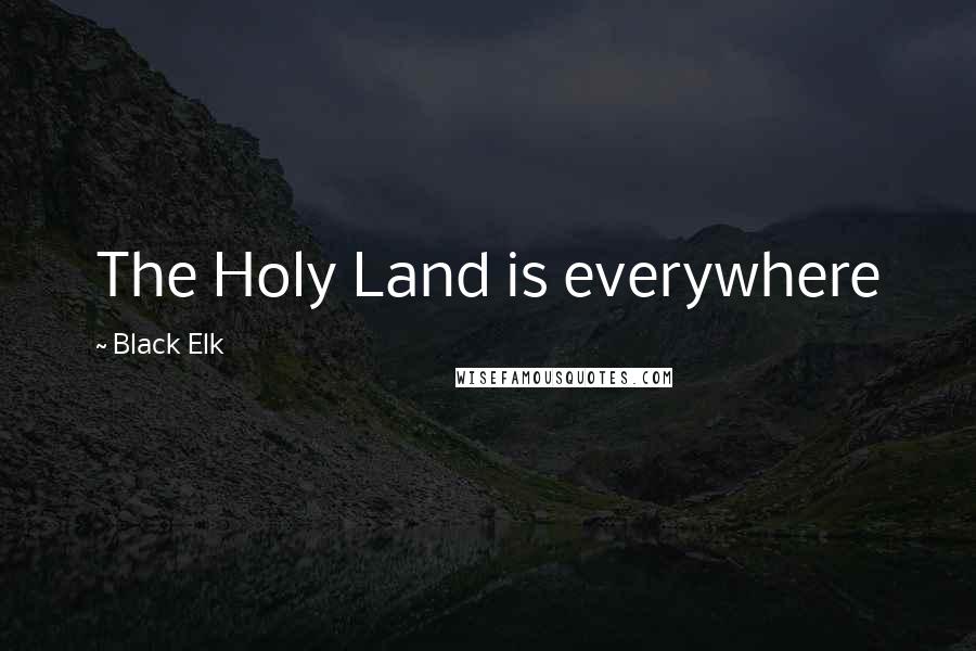 Black Elk Quotes: The Holy Land is everywhere