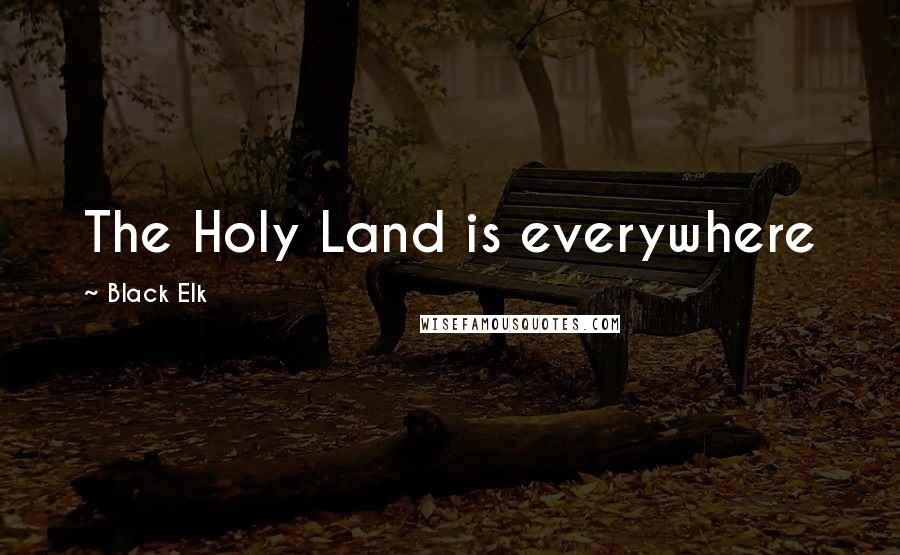 Black Elk Quotes: The Holy Land is everywhere