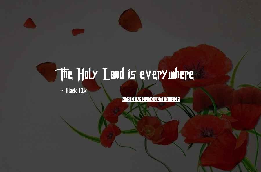 Black Elk Quotes: The Holy Land is everywhere