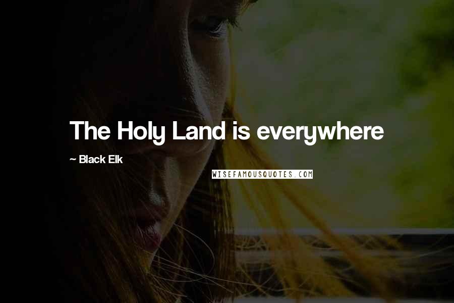 Black Elk Quotes: The Holy Land is everywhere