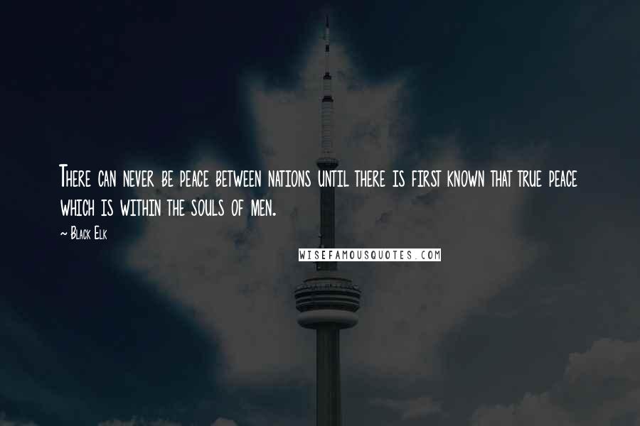 Black Elk Quotes: There can never be peace between nations until there is first known that true peace which is within the souls of men.