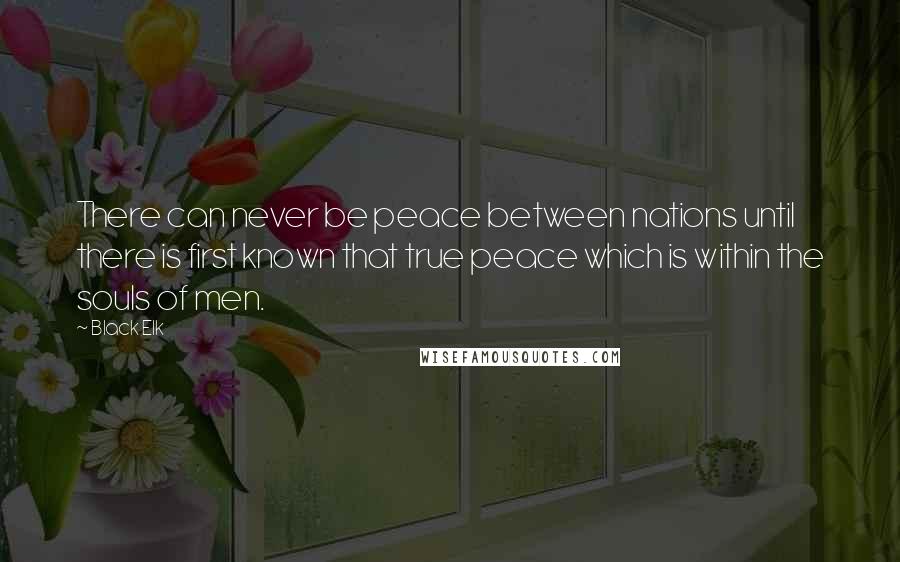 Black Elk Quotes: There can never be peace between nations until there is first known that true peace which is within the souls of men.