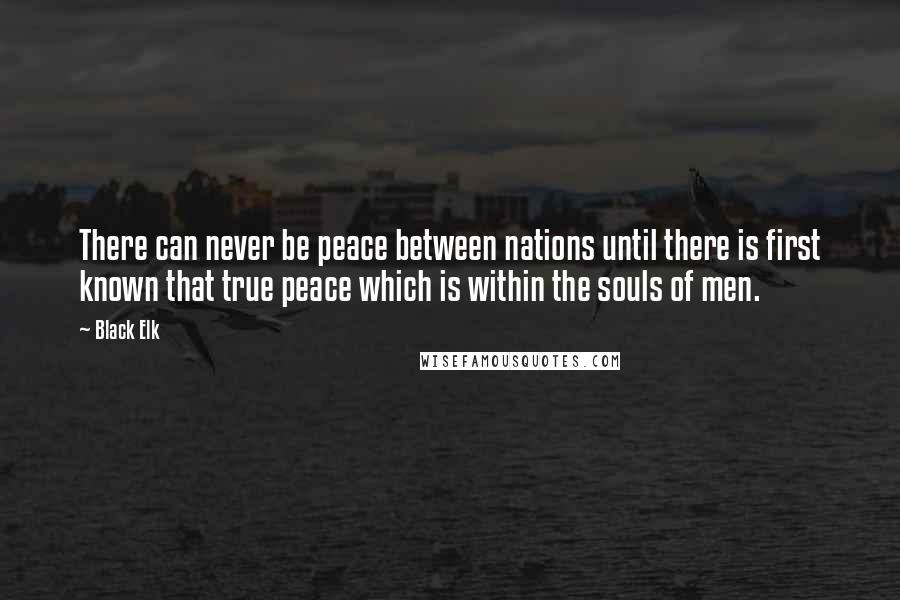 Black Elk Quotes: There can never be peace between nations until there is first known that true peace which is within the souls of men.