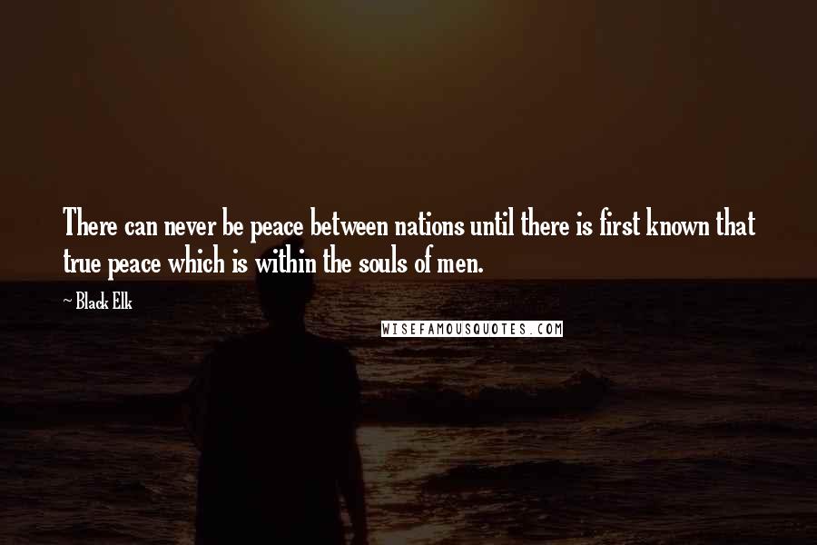 Black Elk Quotes: There can never be peace between nations until there is first known that true peace which is within the souls of men.