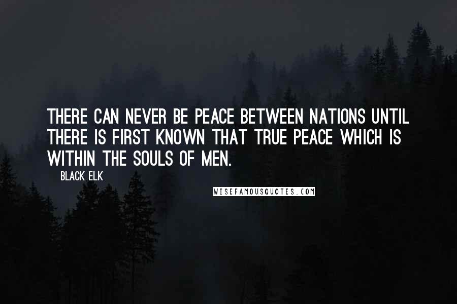 Black Elk Quotes: There can never be peace between nations until there is first known that true peace which is within the souls of men.