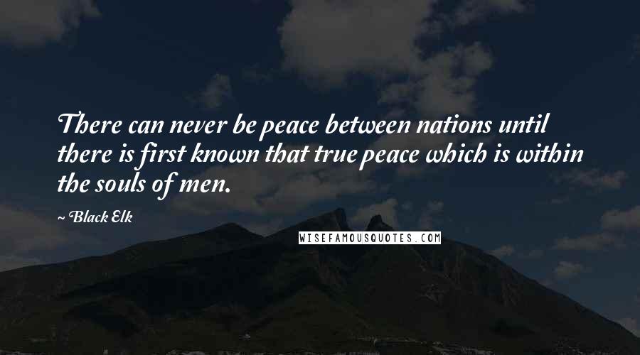 Black Elk Quotes: There can never be peace between nations until there is first known that true peace which is within the souls of men.