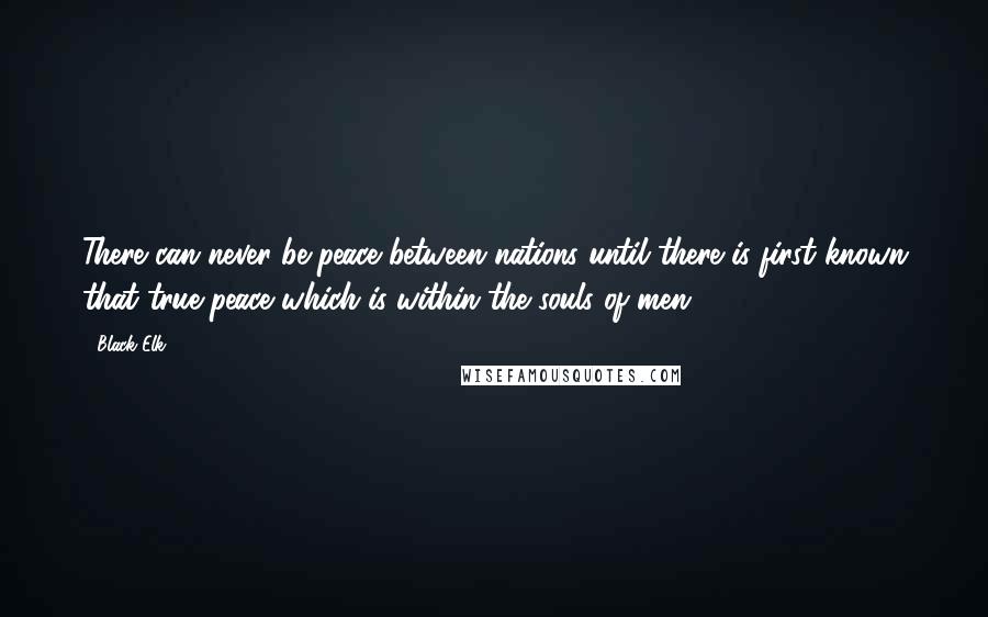 Black Elk Quotes: There can never be peace between nations until there is first known that true peace which is within the souls of men.