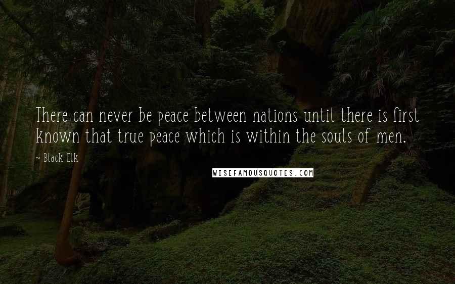 Black Elk Quotes: There can never be peace between nations until there is first known that true peace which is within the souls of men.