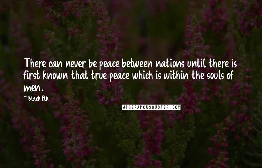 Black Elk Quotes: There can never be peace between nations until there is first known that true peace which is within the souls of men.