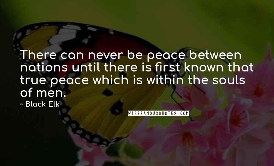 Black Elk Quotes: There can never be peace between nations until there is first known that true peace which is within the souls of men.