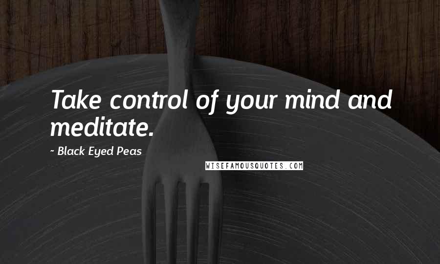 Black Eyed Peas Quotes: Take control of your mind and meditate.