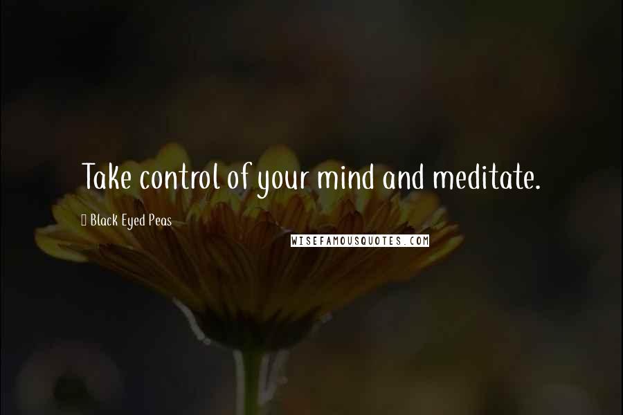 Black Eyed Peas Quotes: Take control of your mind and meditate.