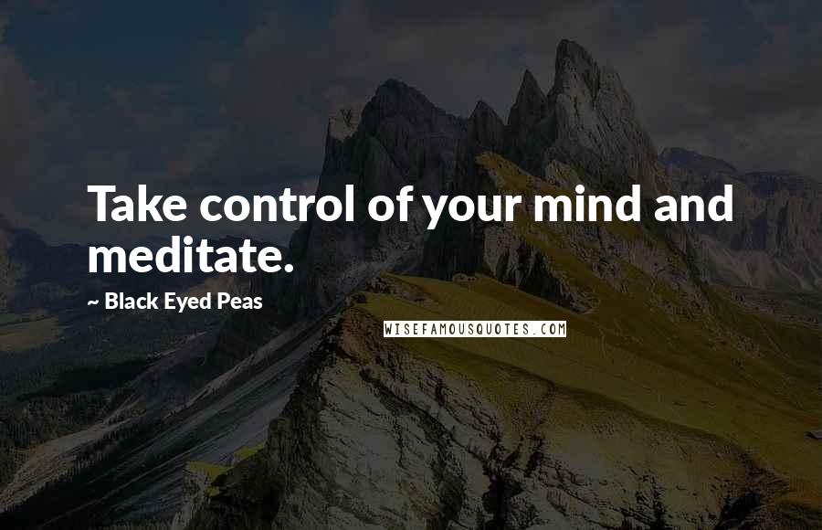 Black Eyed Peas Quotes: Take control of your mind and meditate.