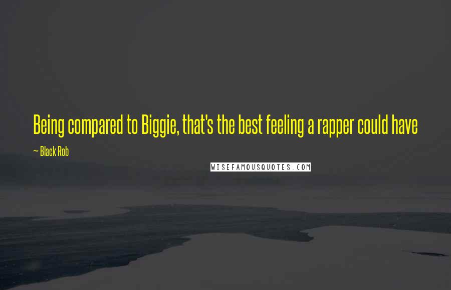 Black Rob Quotes: Being compared to Biggie, that's the best feeling a rapper could have