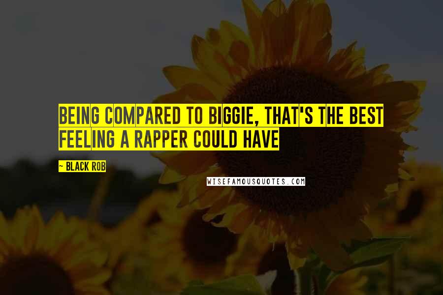 Black Rob Quotes: Being compared to Biggie, that's the best feeling a rapper could have