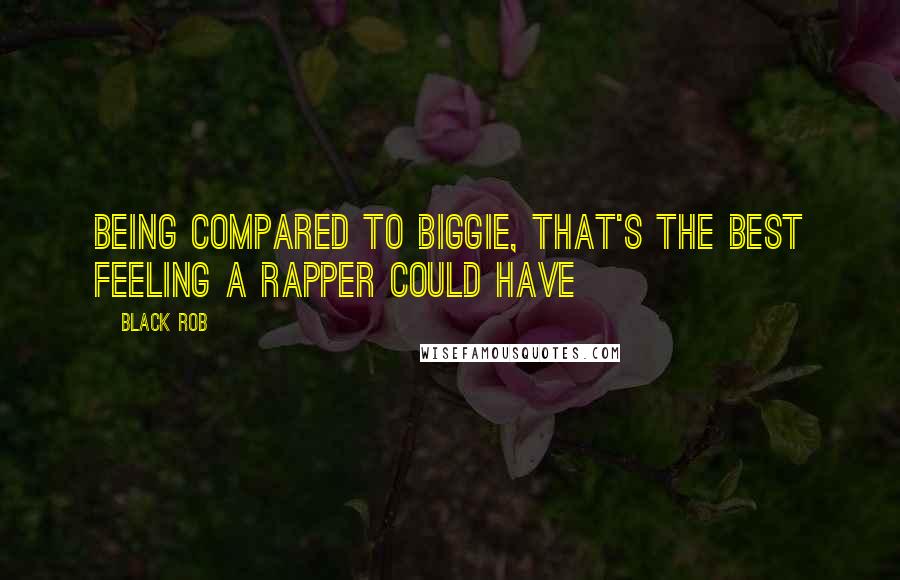 Black Rob Quotes: Being compared to Biggie, that's the best feeling a rapper could have