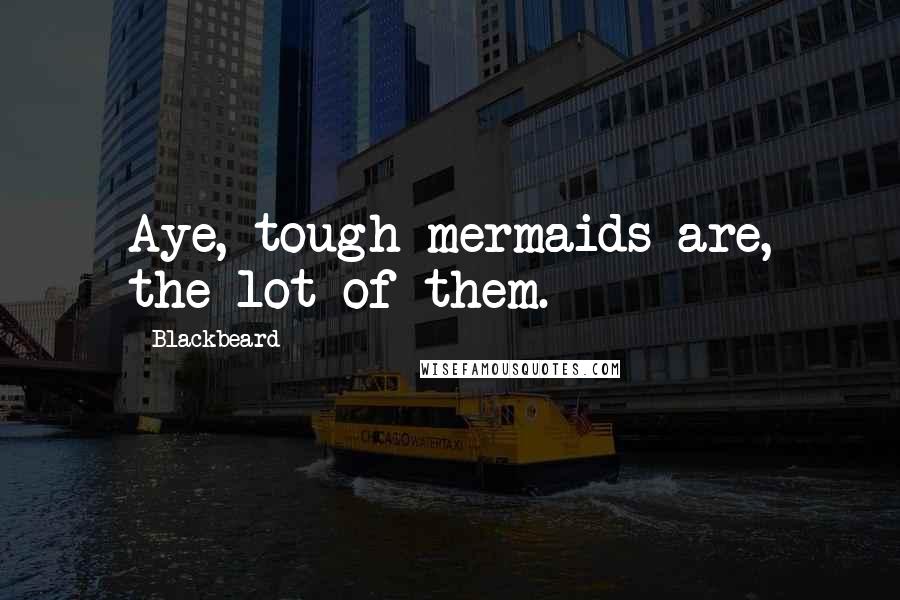 Blackbeard Quotes: Aye, tough mermaids are, the lot of them.