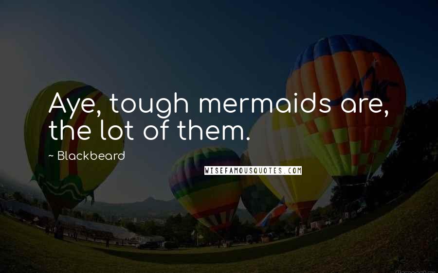 Blackbeard Quotes: Aye, tough mermaids are, the lot of them.