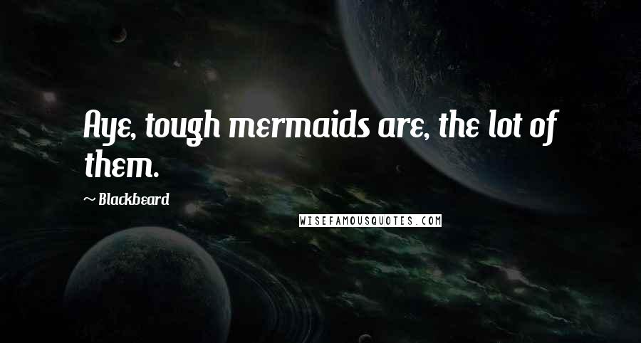 Blackbeard Quotes: Aye, tough mermaids are, the lot of them.