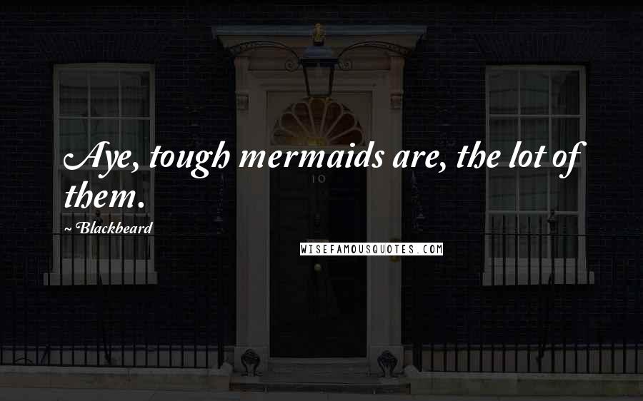 Blackbeard Quotes: Aye, tough mermaids are, the lot of them.