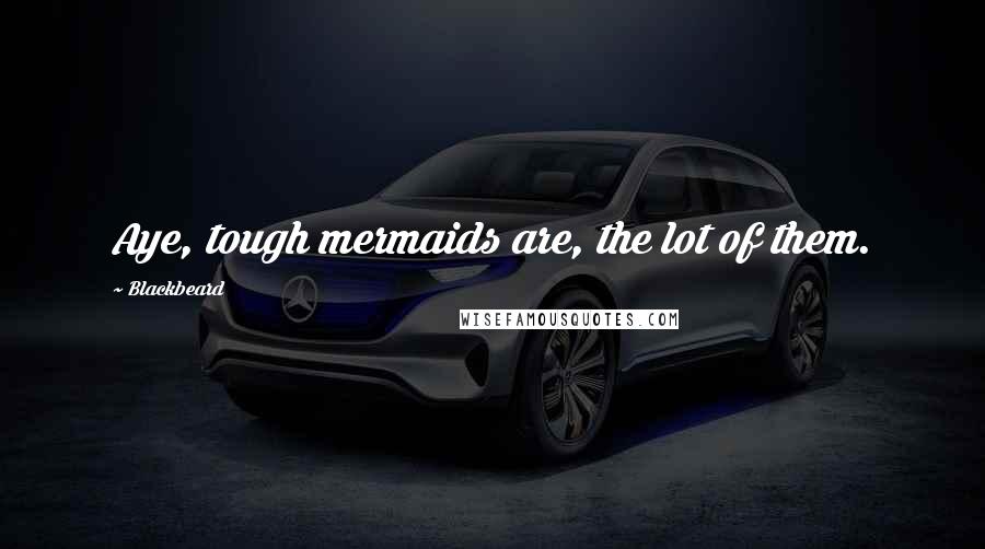 Blackbeard Quotes: Aye, tough mermaids are, the lot of them.