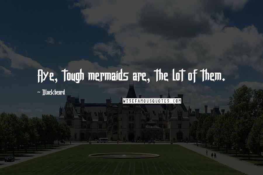 Blackbeard Quotes: Aye, tough mermaids are, the lot of them.