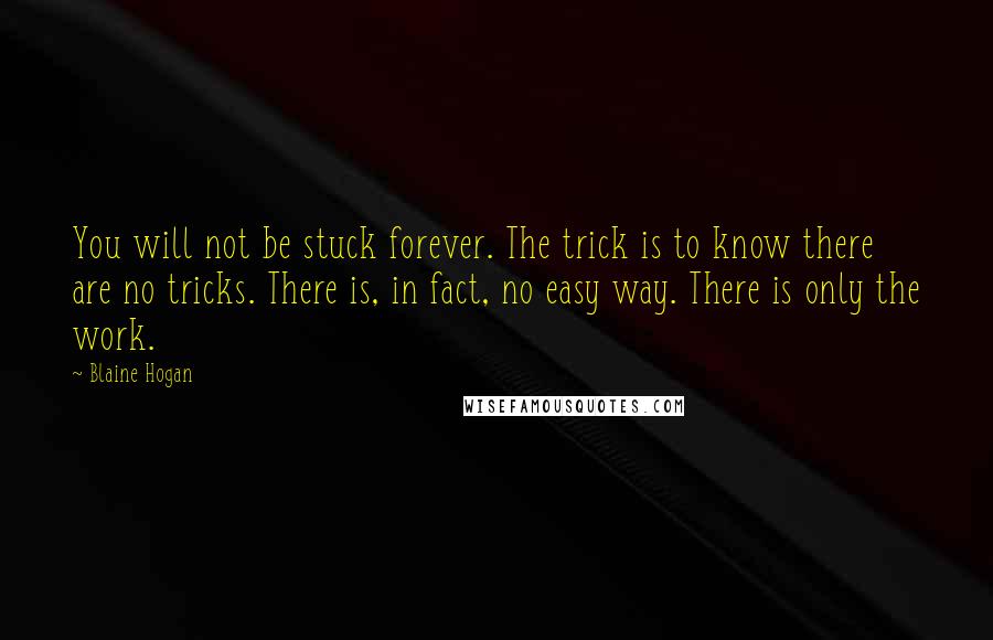 Blaine Hogan Quotes: You will not be stuck forever. The trick is to know there are no tricks. There is, in fact, no easy way. There is only the work.