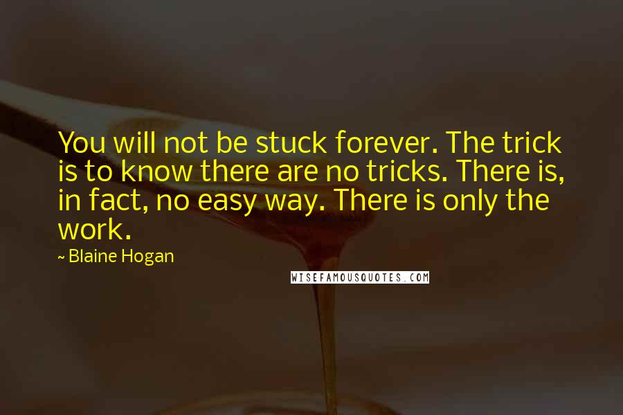 Blaine Hogan Quotes: You will not be stuck forever. The trick is to know there are no tricks. There is, in fact, no easy way. There is only the work.