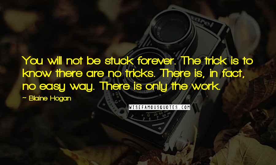 Blaine Hogan Quotes: You will not be stuck forever. The trick is to know there are no tricks. There is, in fact, no easy way. There is only the work.