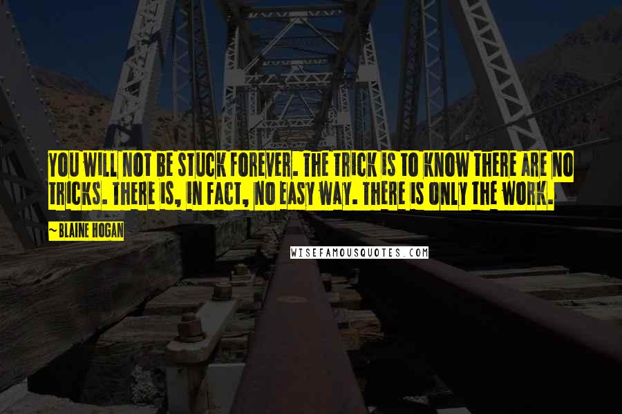 Blaine Hogan Quotes: You will not be stuck forever. The trick is to know there are no tricks. There is, in fact, no easy way. There is only the work.