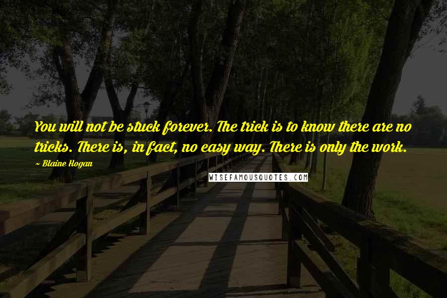 Blaine Hogan Quotes: You will not be stuck forever. The trick is to know there are no tricks. There is, in fact, no easy way. There is only the work.