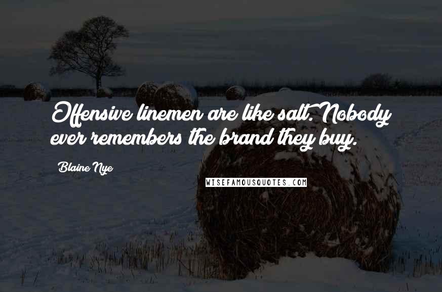 Blaine Nye Quotes: Offensive linemen are like salt. Nobody ever remembers the brand they buy.