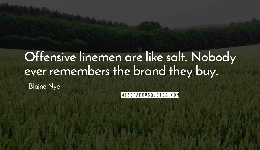 Blaine Nye Quotes: Offensive linemen are like salt. Nobody ever remembers the brand they buy.