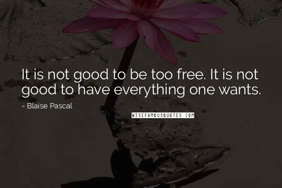 Blaise Pascal Quotes: It is not good to be too free. It is not good to have everything one wants.