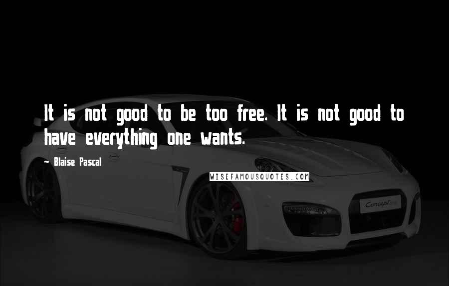 Blaise Pascal Quotes: It is not good to be too free. It is not good to have everything one wants.