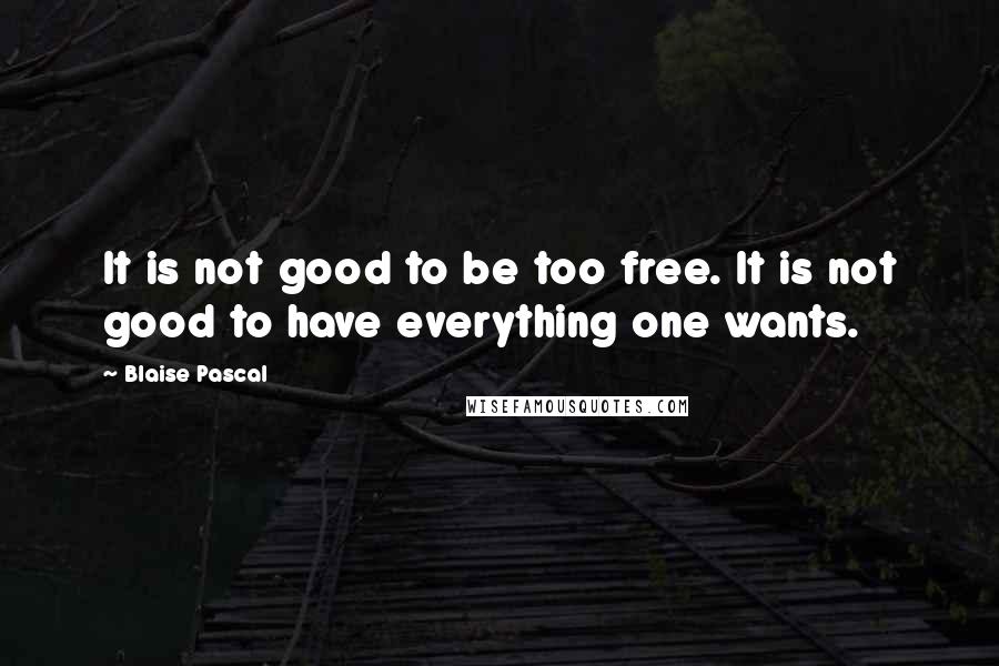 Blaise Pascal Quotes: It is not good to be too free. It is not good to have everything one wants.