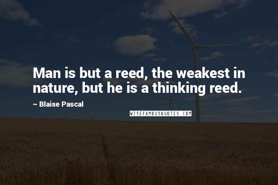 Blaise Pascal Quotes: Man is but a reed, the weakest in nature, but he is a thinking reed.